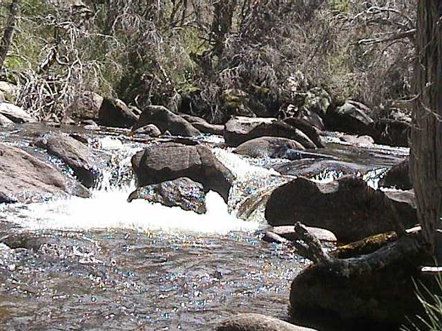 Cooling waters of the Thredbo River