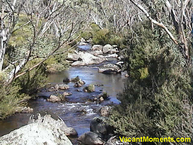 Thredbo River from the River Walk