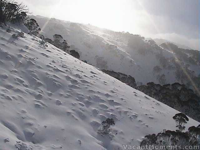 Powder Bowl