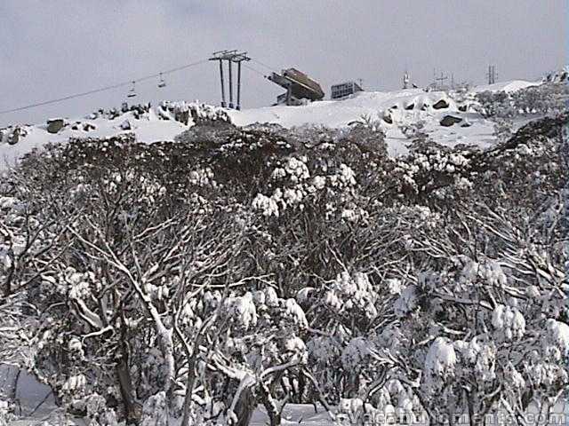 Eagles Nest from SnowGums Chair