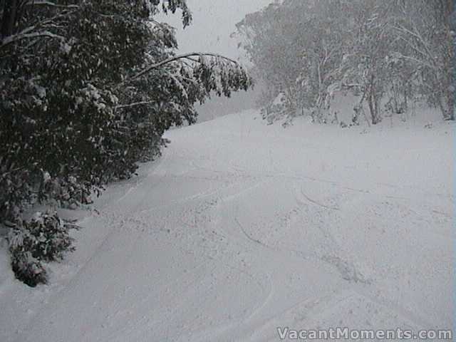 Fresh powder on a groomed base on High Noon