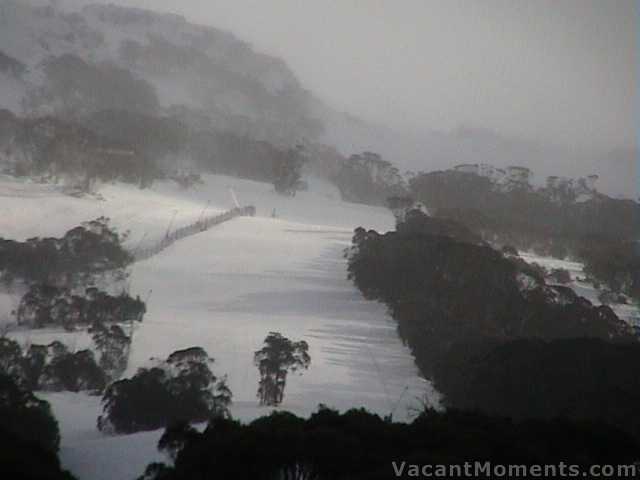 Upper Supertrail Saturday  with a trace of new snow