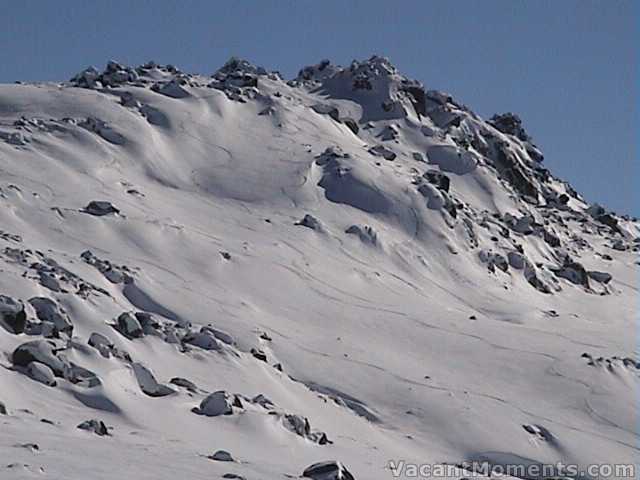 Signature Hill  freshies for the keen