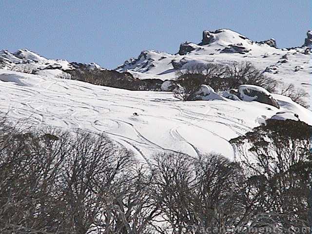 Golf Course on Tuesday