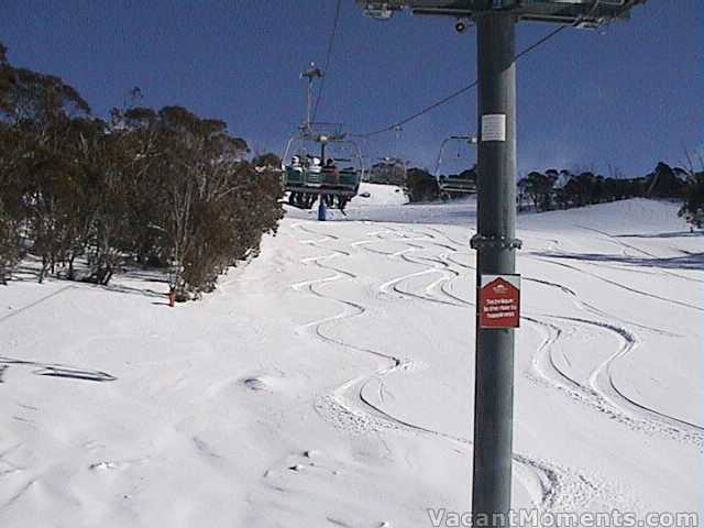 World Cup freshies