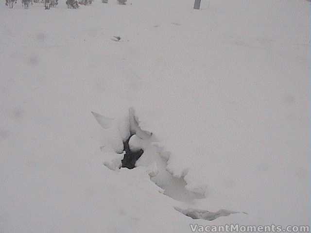 One of the creeks opening up near the top of True Blue