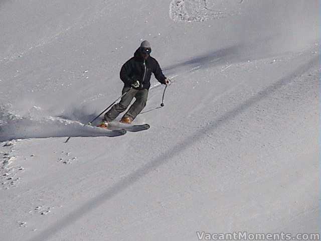 Jay below Kareela