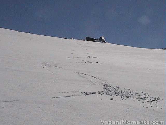 Descent into Bogong