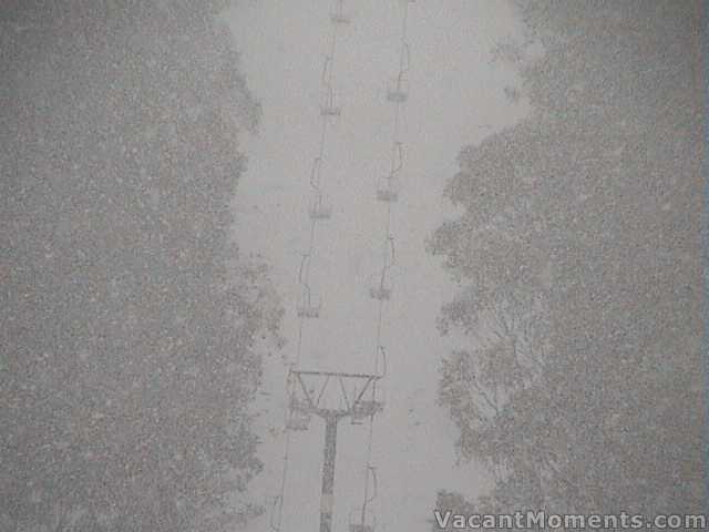 Snowfall on Snowgums  this morning