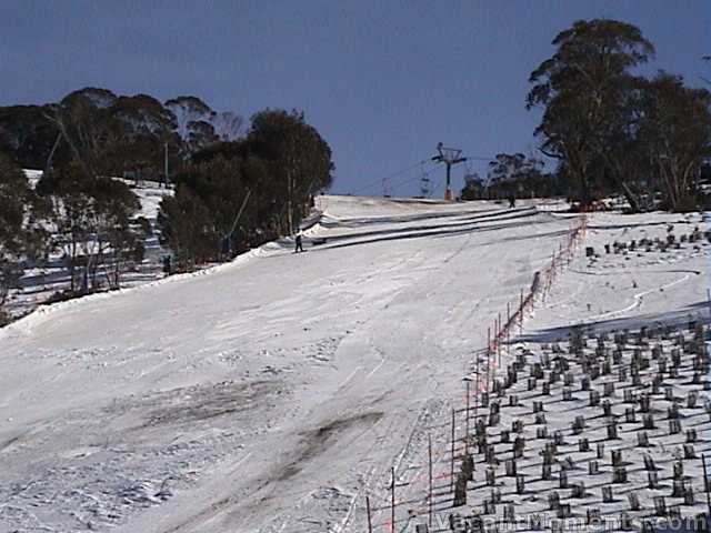 Looking up toward Bunny Walk corner