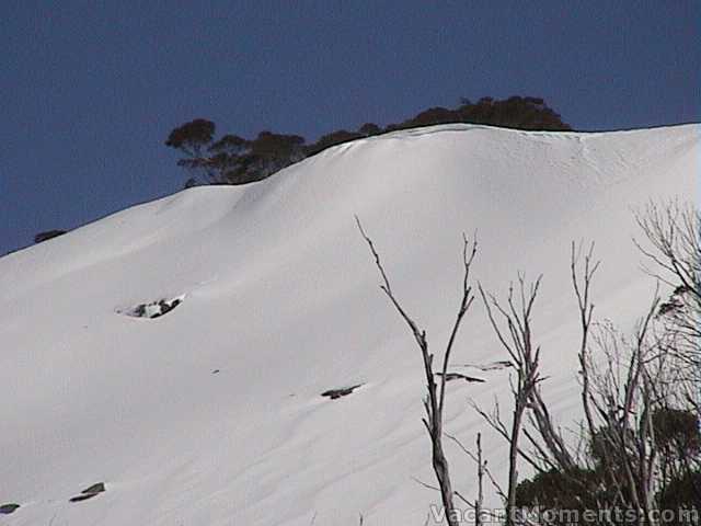 The Bluff on Friday - closed