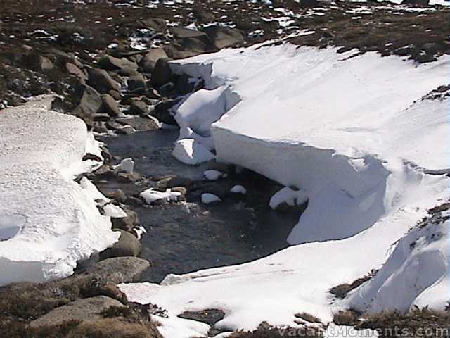 Upstream of the bridge