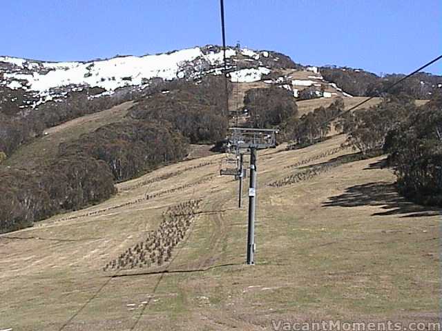 Grassy slopes within the resort