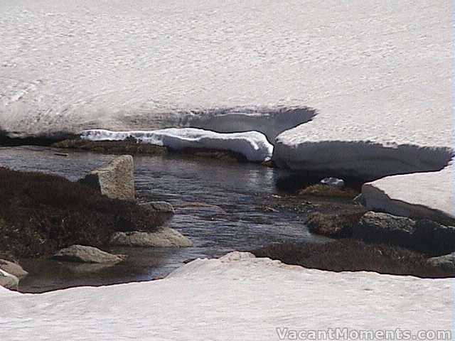 The creek is just starting to open up below the lake