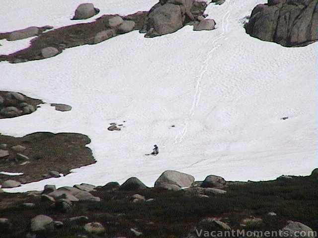 A lone hiker - taking advantage of the snow drifts to have some fun