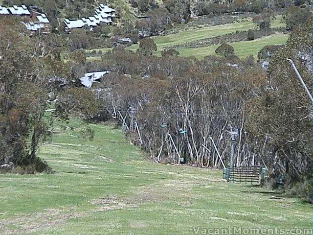 Lush green cover on lower Supertrail