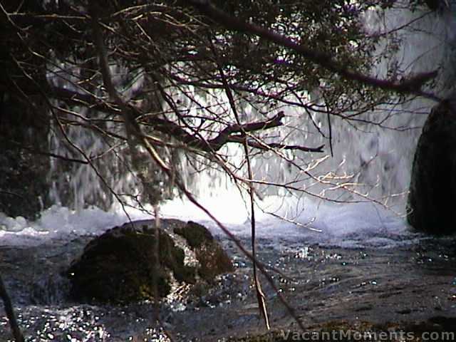 Waterfall beside Merritts Nature Trail