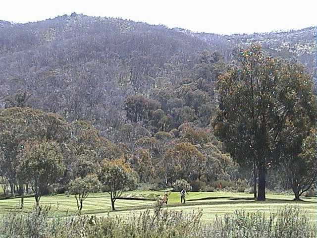 The golf course is a popular place when the sun is out