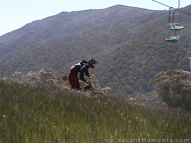 Mountain bike trails wind between rocks, trees and the lush grassy meadows