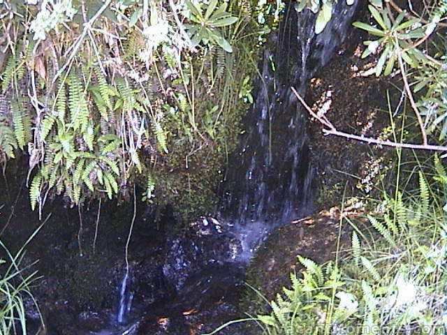 One of many little grottos encountered on the mountainside