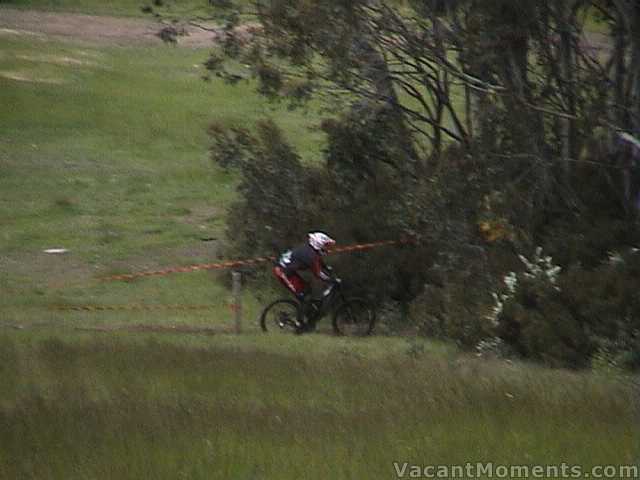 Watch out for those trees - Sunday race day