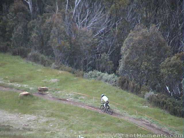 The wind chill must be bad for the faster riders