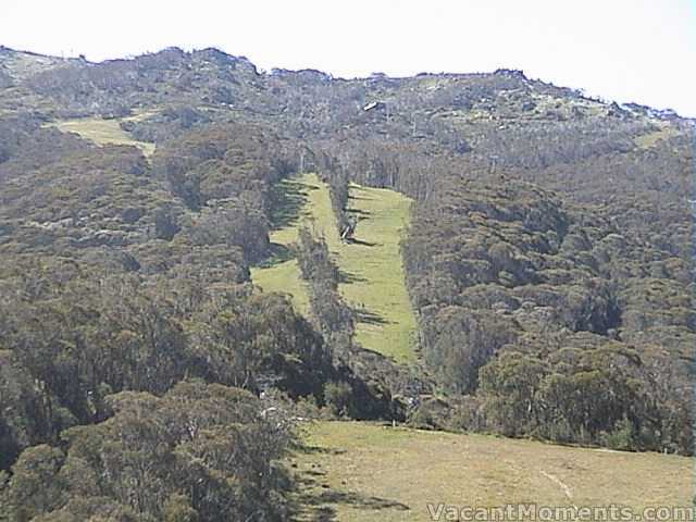 High Noon - lush green in the simmering heat