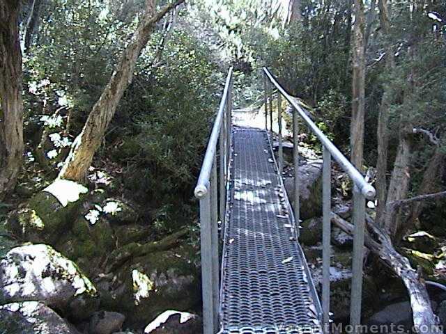 New walking bridge on the Merritts Nature Trail