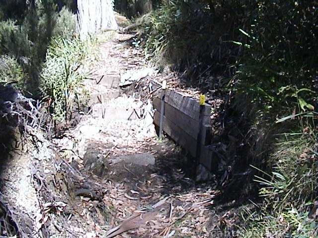 Repairs to the steps on the lower Merritts Nature Trail