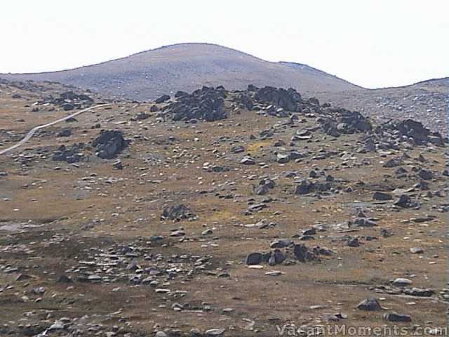 No snow to be seen on Mt Kosciuszko