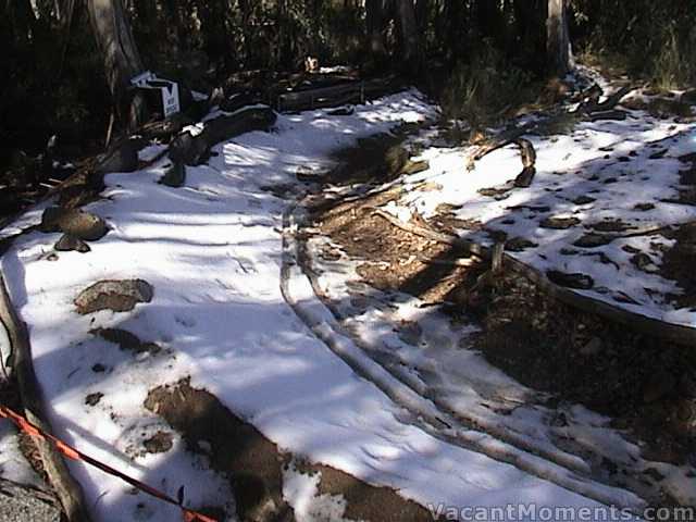 Not ski tracks but probably the last bike tracks near Bunny Walk