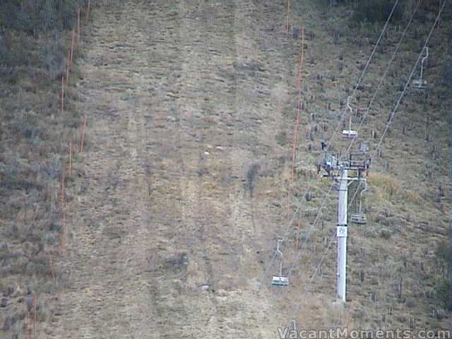 Ski runs mowed and the orange poles in place