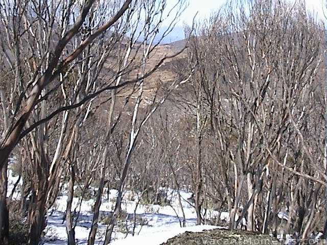 View back toward Swampy Plains