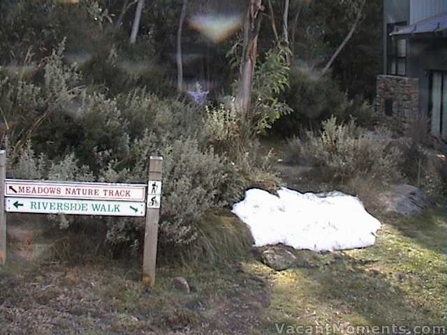 Some snow still sits around Crackenback Ridge