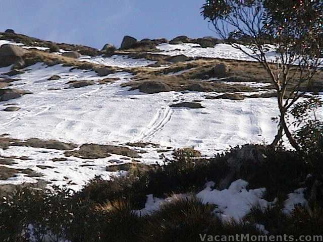 Skid marks below Eagle Way