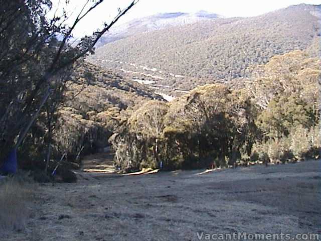 Sundowner awaiting snow on a good cover of grass and straw