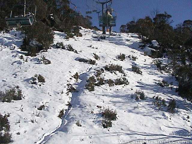 Wombat track under Snowgums chair