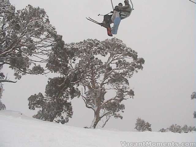 Snow in the trees at Cruiser