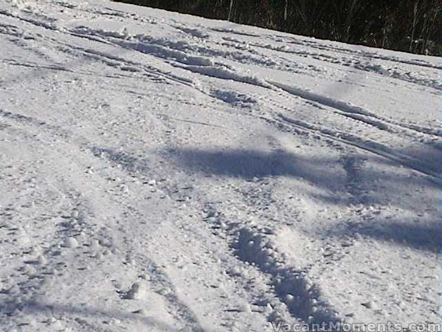 Deep sugar tracks on Supertrail