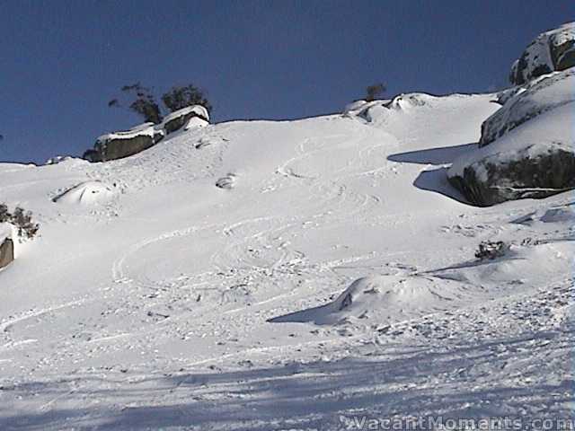 Freshies near Cannonball