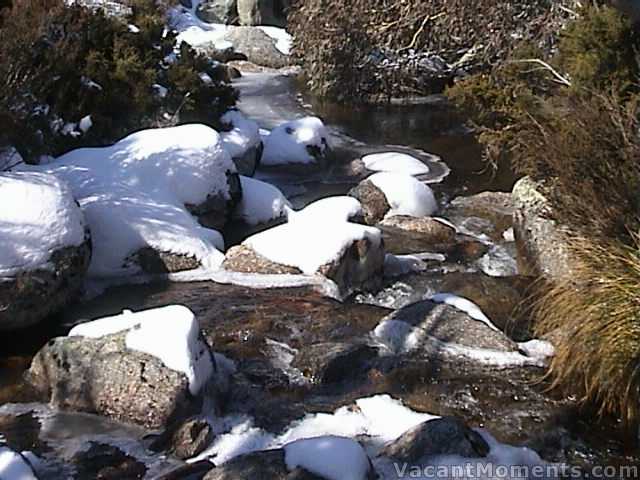 Bogong Creek