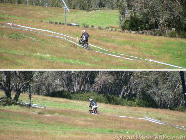 Mountain bikers amongst the green