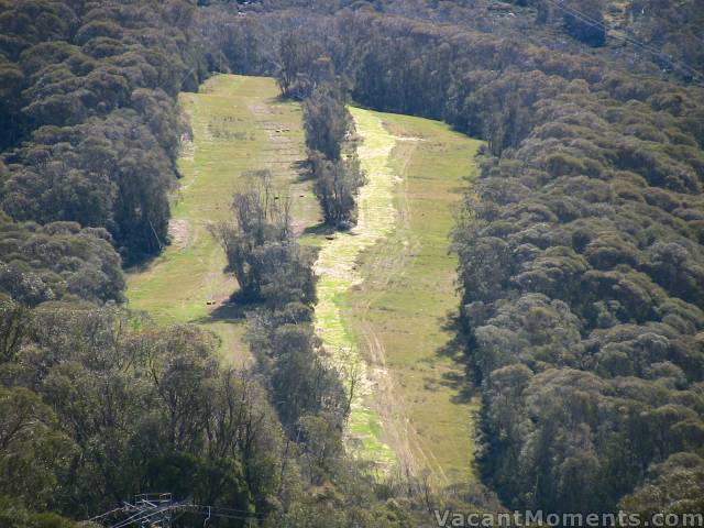 Recent rains have the grass regeneration on High Noon racing ahead