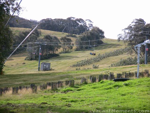 Lush green on the lower Supertrail