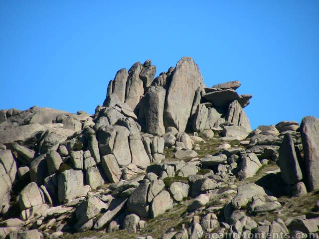 Not many flowers around but lots of rocks