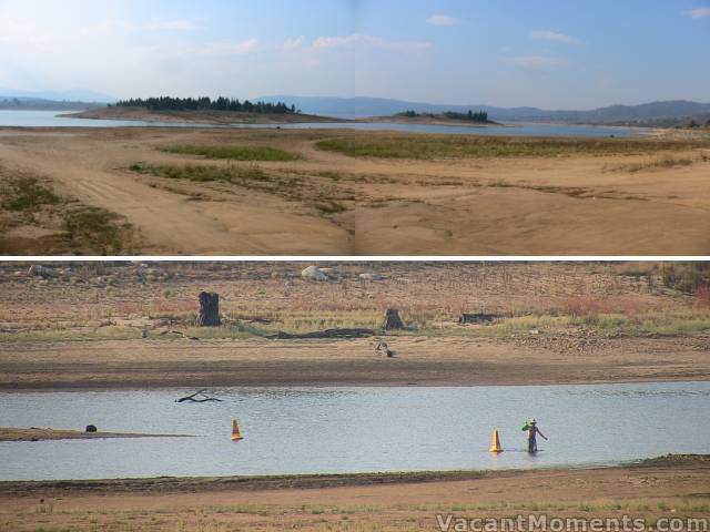 Lake Jindabyne islands growing  still a little damp between