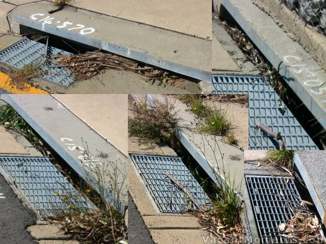 Leaves, branches and weeds in drains above Thredbo