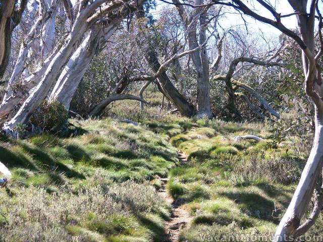 The trail up from Dead Horse Gap