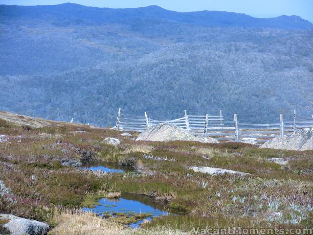 Alpine pools near Karels T-bar