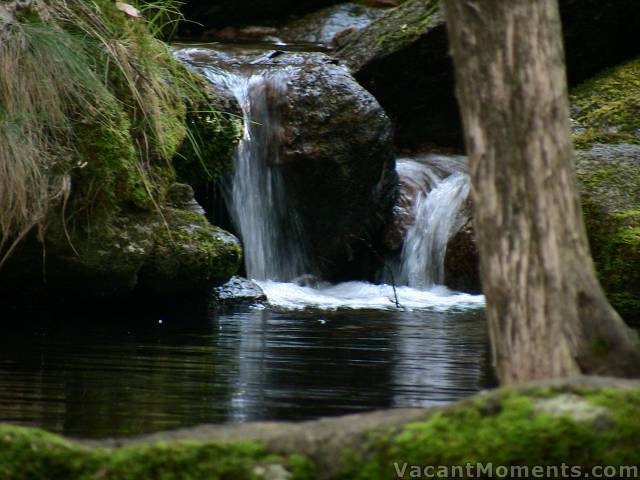 Tranquility of an alpine stream